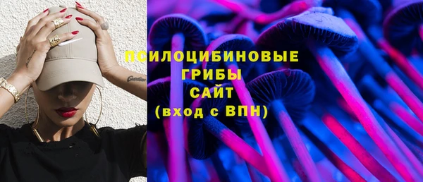 спиды Покровск