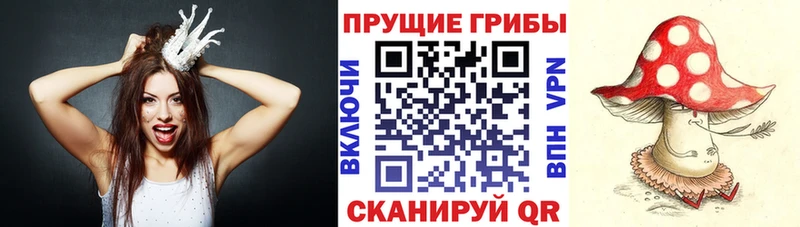 кракен вход  Пучеж  Галлюциногенные грибы прущие грибы 
