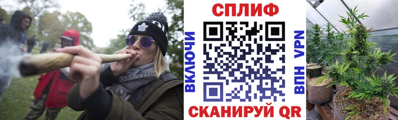 Бошки Шишки ГИДРОПОН  OMG маркетплейс  Пучеж 